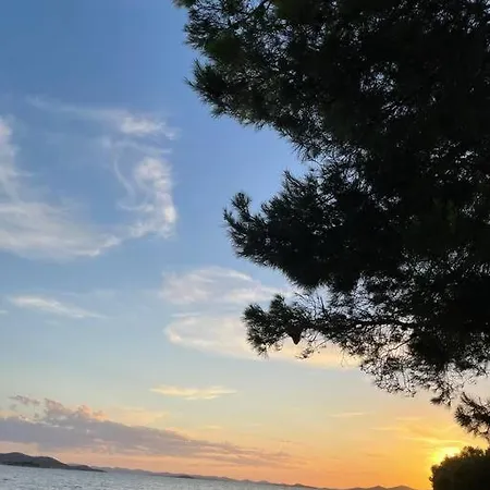 Ahoi House 7 아파트