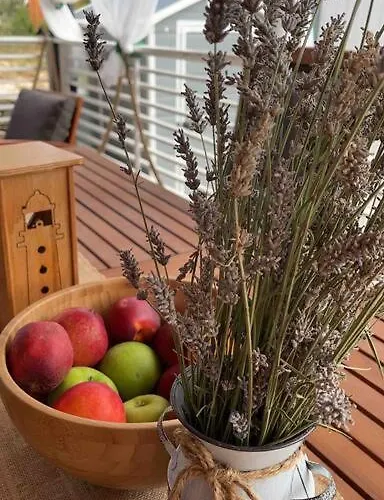 Ahoi House 7 * دراغ